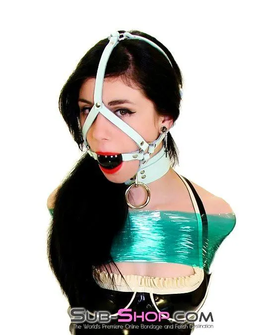 0988A     I Like It Rough Retro Mint Green Leather Bondage Collar