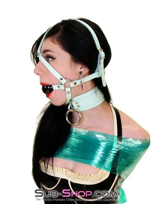 0988A     I Like It Rough Retro Mint Green Leather Bondage Collar